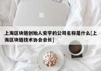 上海区块链创始人安宇的公司名称是什么[上海区块链技术协会会长]